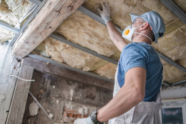 Best Commercial Insulation in Edwardsvle, IL