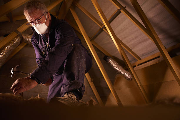 Best Insulation for Specific Applications in Edwardsvle, IL